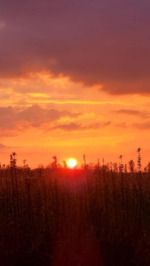 Hemmer Hoeve Экстерьер фото